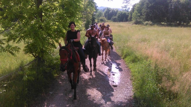 Subir a caballo espléndidos 