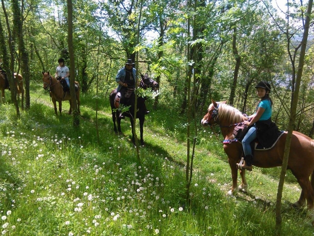 Paseo a caballo en compañía 
