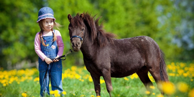  dulce caballo y niño 