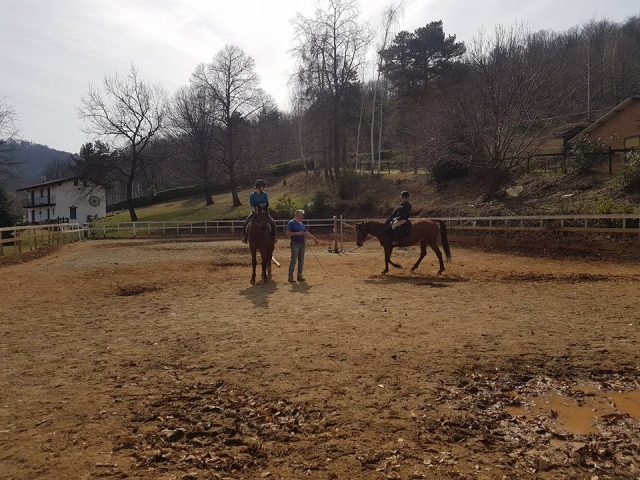  subiendo caballos