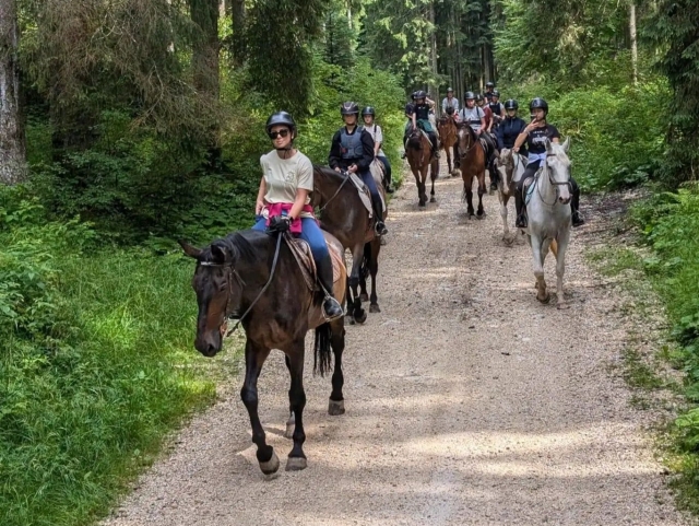  Todos juntos en la naturaleza 