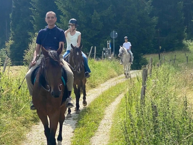  Sin preocupaciones en la naturaleza 