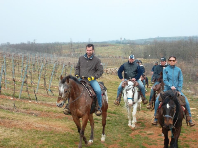 cabalgando entre viñedos 