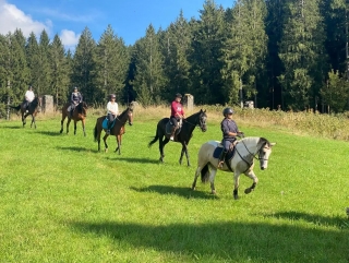 Paseo a caballo entre prados y bosques de la meseta 1h