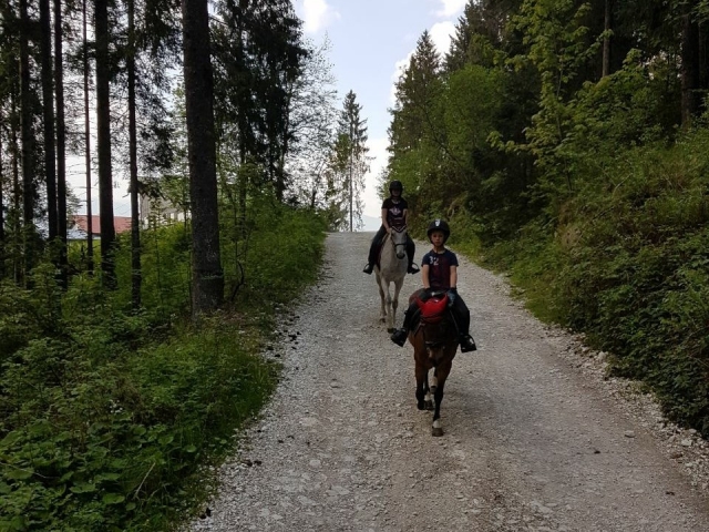 Libre en la naturaleza 