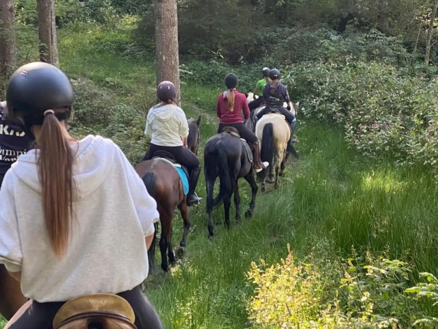  Actividades en familia 