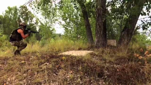  adentrándonos en el bosque 