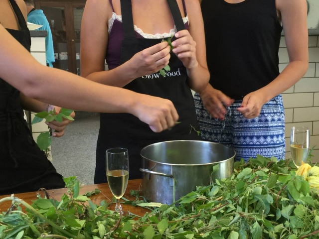 uso de hierbas recién cogidas