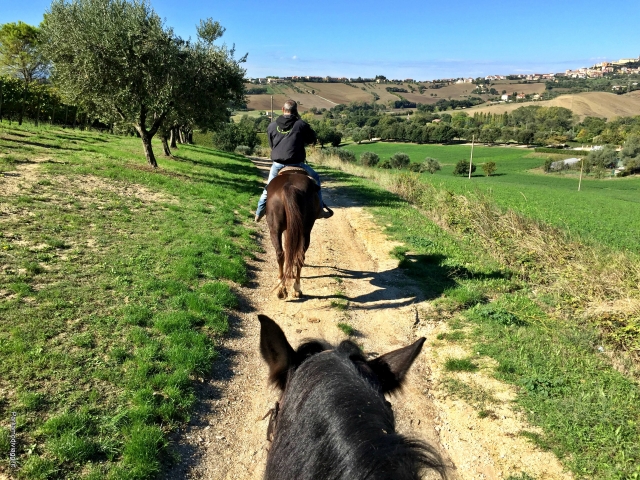  Descubriendo nuevos caminos