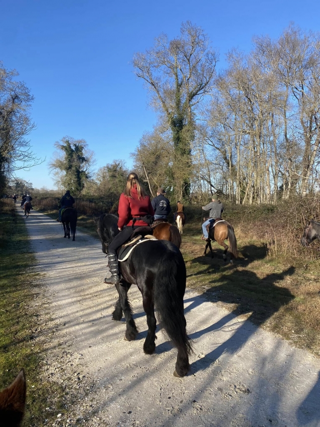  En la silla de subir 