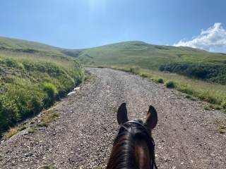 Paseo panorámico a caballo por las colinas de Pistoia 2h