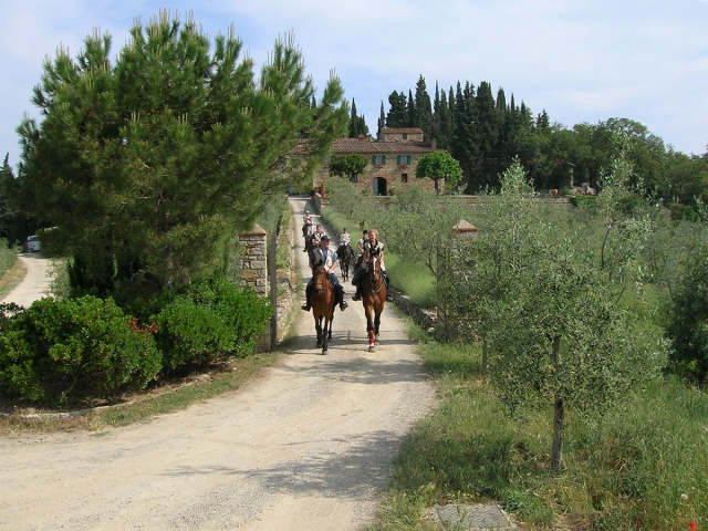  Por las colinas de Uzzano 