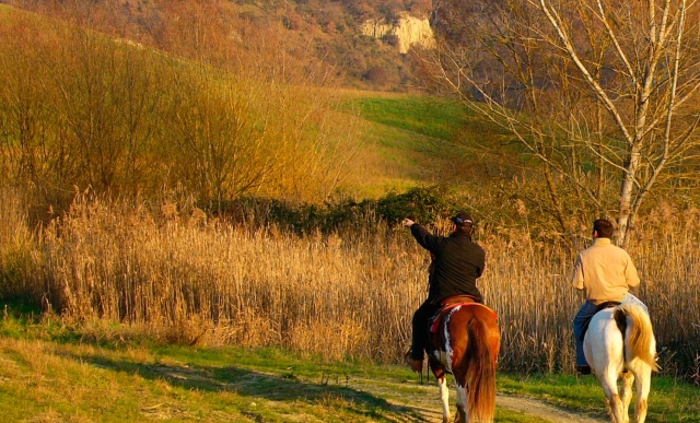 Rodeados de vegetación