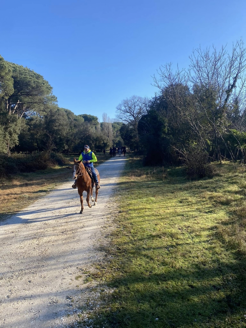  Caminos blancos en medio del verdor 