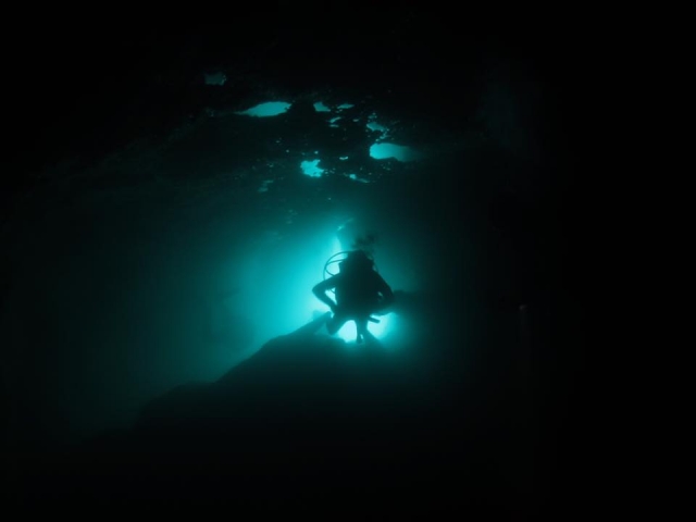  en la oscuridad del fondo marino 