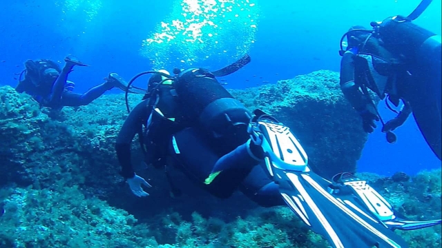  lo que descubrirás en el fondo del mar 