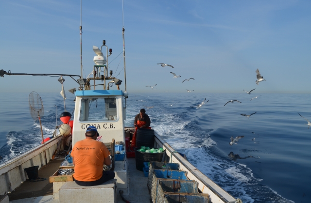 pesca en alta mar 