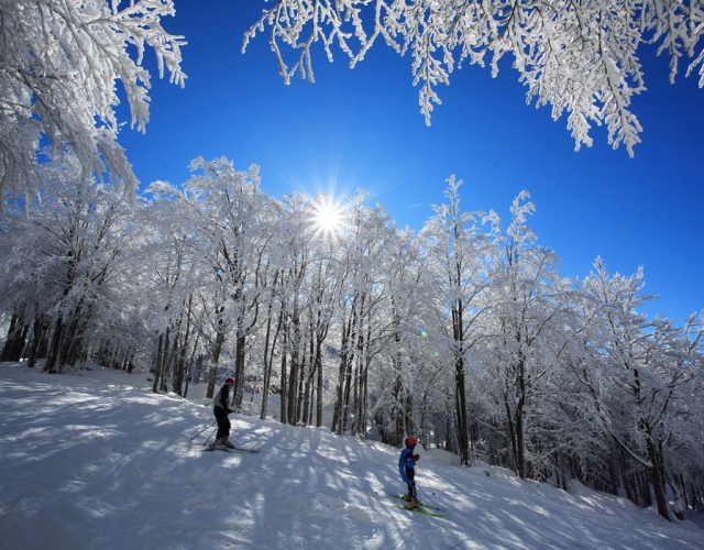  nuestros territorios 