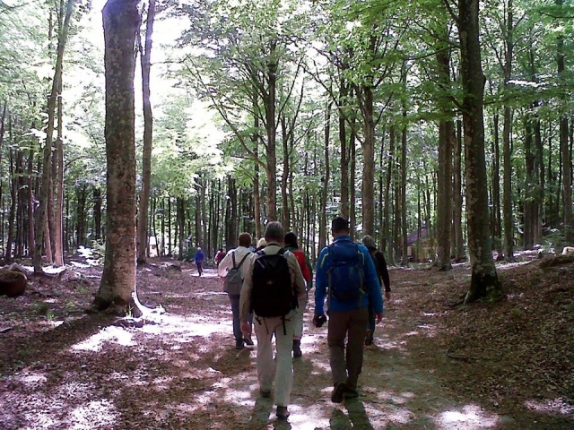  excursiones en grupo 