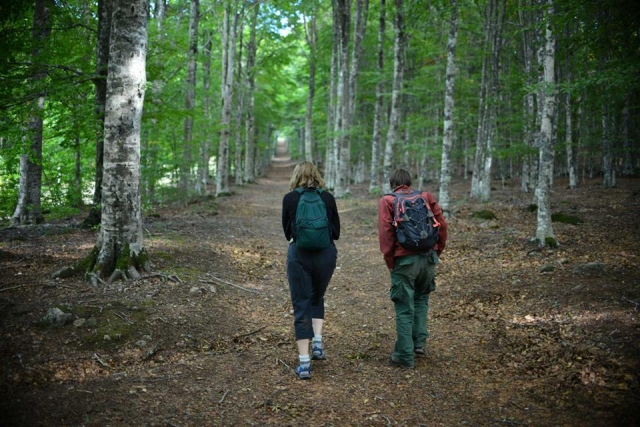 trekking por el bosque 