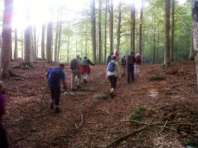 Excursión marcha nórdica 