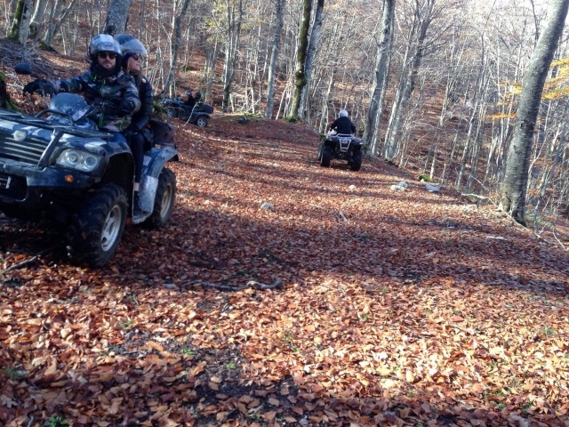Excursión en cuatrimoto por el bosque 