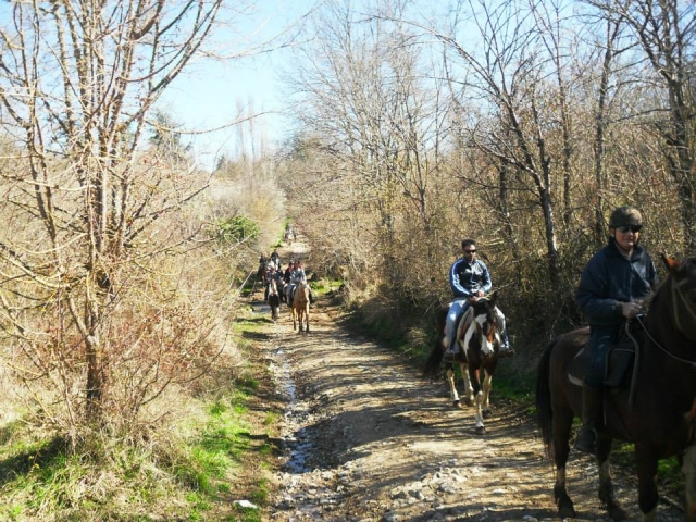  Paseo de principios de primavera 