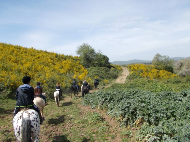  Pbaños por el campo