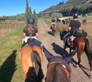 Paseo en pony (1h), Santa Maria del Giudice