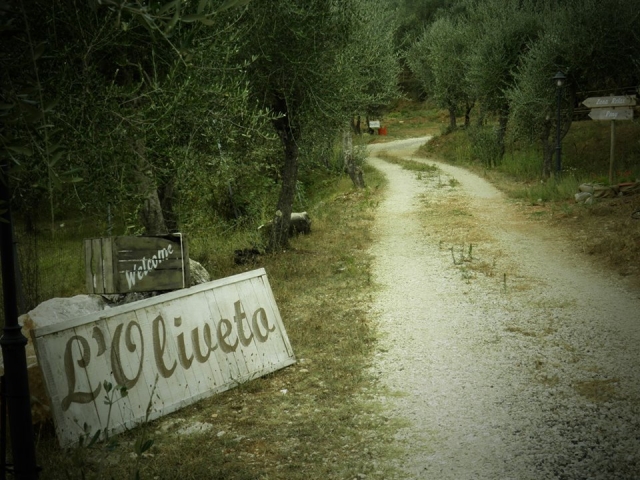  La entrada a nuestra escuela de equitación 