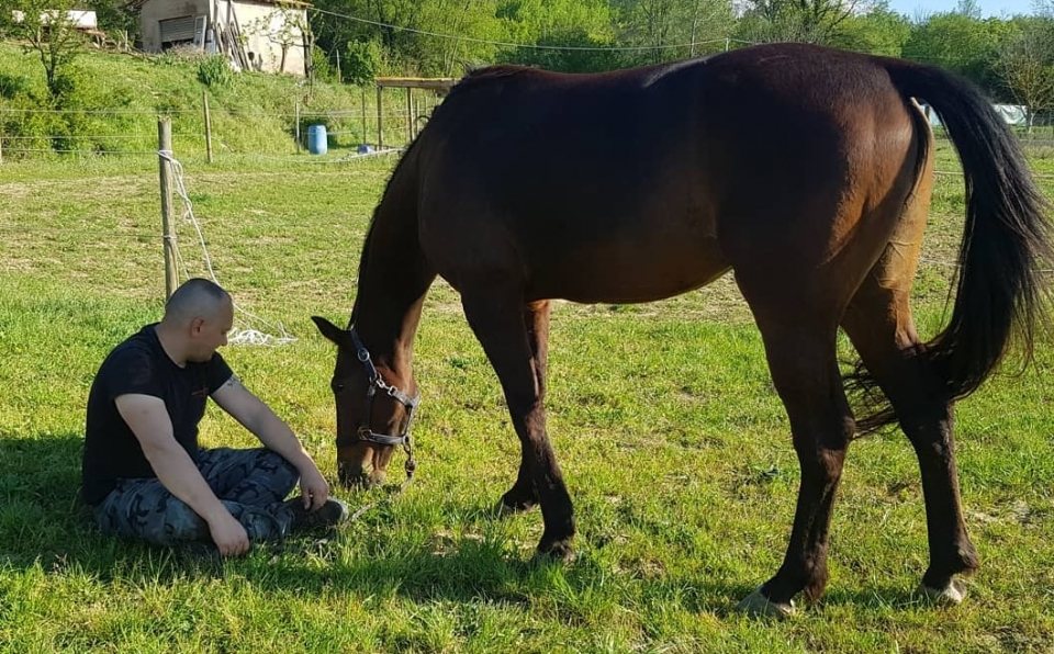  Armonía con el caballo 