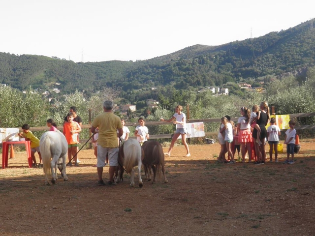 En contacto con los ponis