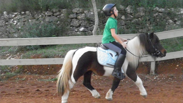 En pony 