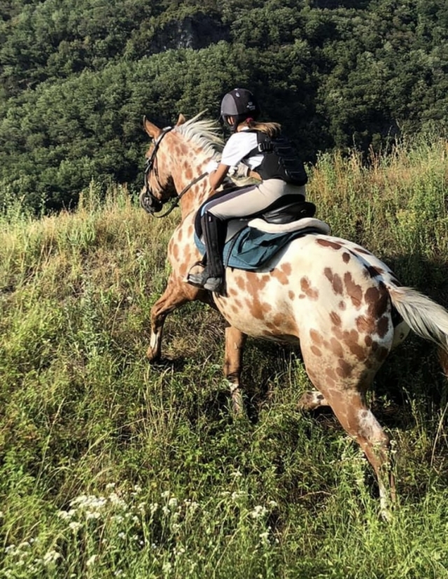  Caminando en la naturaleza 
