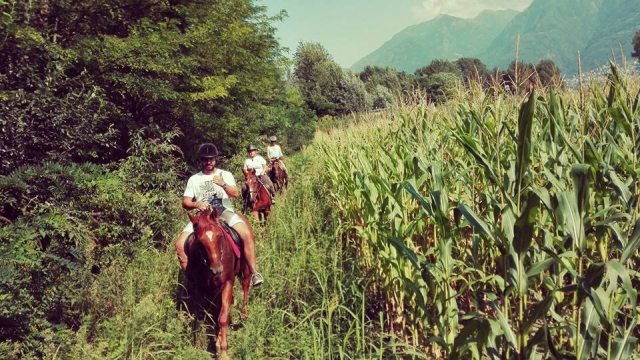  Entre los campos 