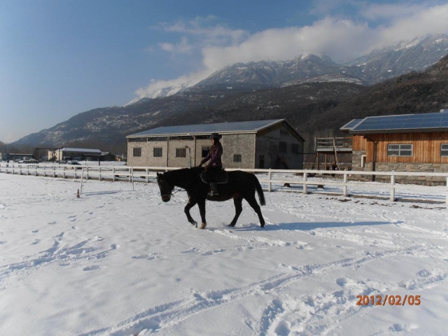  Clases en la nieve