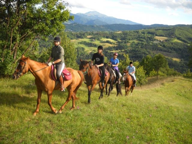 aventuras en las colinas de Rieusted 