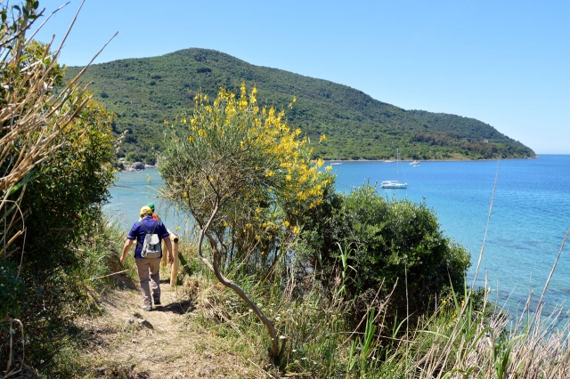 Caminos cerca del mar 