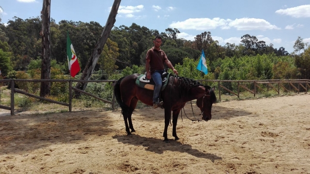  el maestro y el mejor caballo 