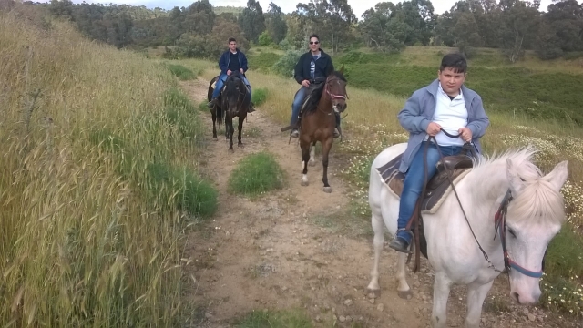  subir a caballo es para todos 