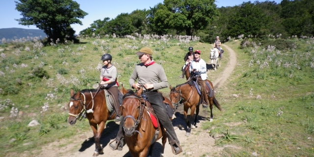  Inmerso en el matorral mediterráneo 