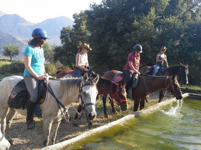 Descanso también para los caballos 