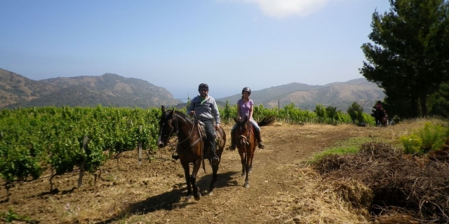 llegada a la abadía