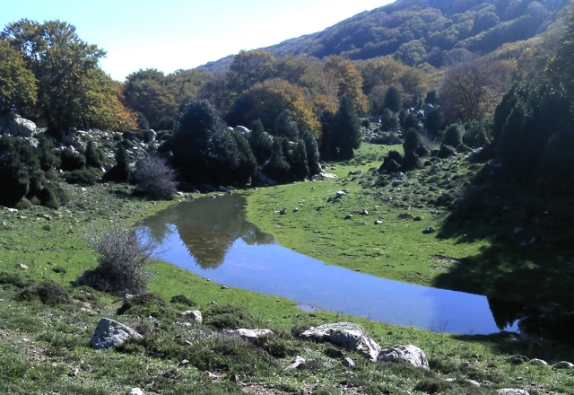  El estanque del gorgonero 