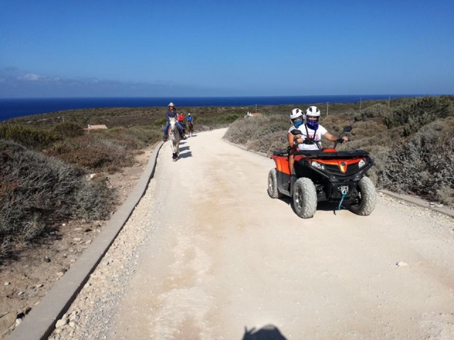  Por caminos trillados