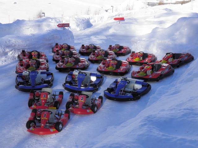 ¡Elige el kart que más le gusle y comienza el desafío! 
