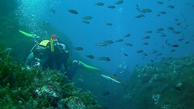 la flora y la fauna de Portofino son únicas