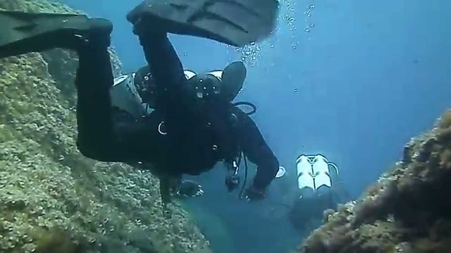 ¡sumérgele en el descubrimiento!