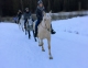 Cabalgatas Trento