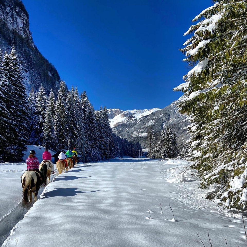  Ruta por los senderos nevados 